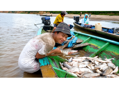 Pesca Artesanal en la Comunidad Nativa Palma Real