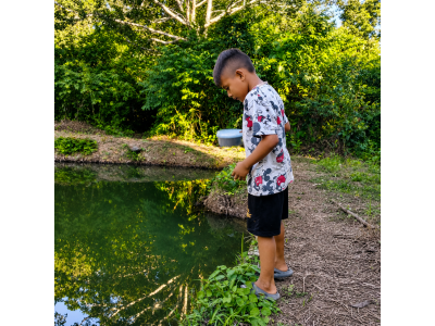 Alimentación de peces en la granja acuícola