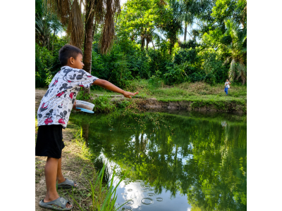 Alimentación de peces en estanque comunitario