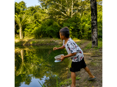 Cuidado y alimentación de peces en el estanque comunitario
